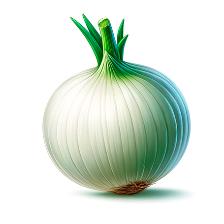 НАСІННЯ ЦИБУЛІ