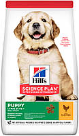 Hill's SP Puppy Large Breed с курицей, 2,50 кг