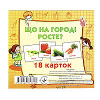 Развивающие карточки для детей Что растет на огороде J018y 18 Nia-mart