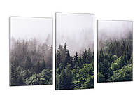 Модульная картина Poster-land Природа Туманный Лес 53x100см Арт-514_3 NX, код: 7359282