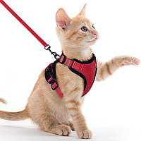 Анатомическая шлейка для кота или собаки WalkMe поводок 155 см, красный комплект