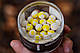 Флюо ліквід CC Moore NS1 Halo Yellow 100ml, концентрований короповий ліквід, фото 5