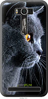 Пластиковый чехол Endorphone Asus ZenFone 2 Laser ZE500KL Красивый кот (3038m-113-26985) PS, код: 7501386