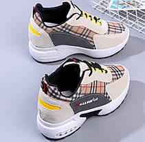 Стильні твідові кросівки снікерси, фото 2