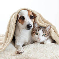 Одеяло для собак MIULEE 70 x 100 см Cuddly Blanket Мягкие одеяла для собак и кошек.