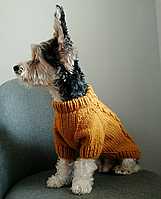 В'язаний светр для собаки, обхват грудей 35-42 см, спинка 32-36 см, ручна робота, вовняний з візерунком