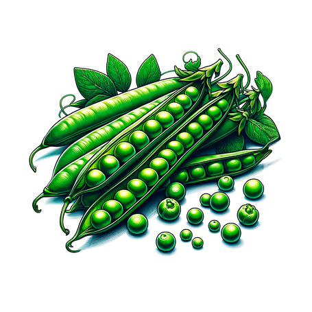 НАСІННЯ ГОРОХУ