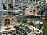 Клітка для шиншил, білок, дегу, фото 5