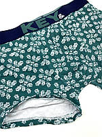 Труси мужские с рисунком шорты Key M Зеленые