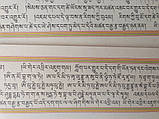 Тибетська Дорогоцінна Сутра Амітаус, Амітабха для Безмежної Мудрості, Довгоріччя, Гарної Карми та Заслуг, фото 3