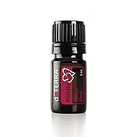 Holiday Love Blend doTerra | Смесь эфирных масел для создания уютной атмосферы, 5 мл