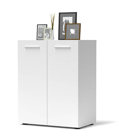 Тумба 2Д Tipo TP3 Accord, колір білий платиновий, фото 1