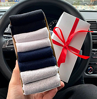 Бокс жіночих коротких різнобарвних літніх повсякденних 36-40 8 шт. на прикольний подарунок дівчині BG