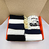 Бокс жіночий кухоль 330 мл і короткі літні базові шкарпетки 14 пар для дівчат на оригінальний подарунок BG, фото 8