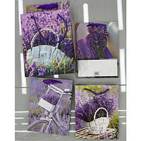 Пакет подарочный бумажный M "Lavender" 26*32*10см WW02812-M ish