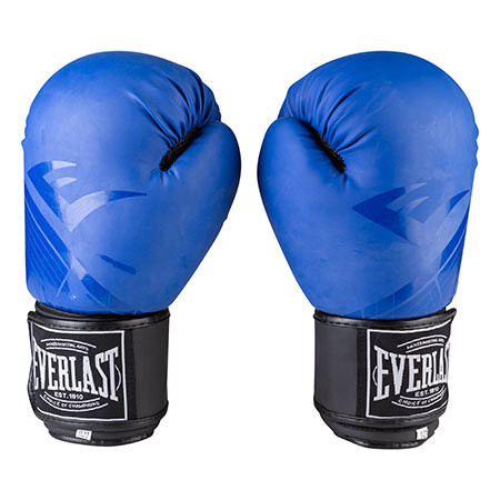 Боксерські рукавички сині матові Everlast DX розмір 10 oz