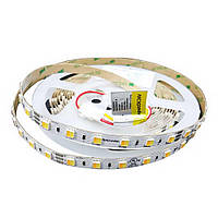 Светодиодная лента RISHANG 24V 10.8W 2700-6500K 60led IP20 ( RD0060AC-B )