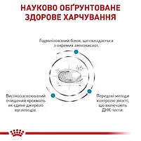 Сухий корм Royal Canin Anallergenic Dog дієтичний для собак при небажаній реакції на корм 8 кг, фото 5