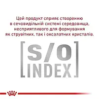 Сухий корм Royal Canin Anallergenic Dog дієтичний для собак при небажаній реакції на корм 8 кг, фото 6