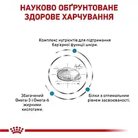 Сухий корм Royal Canin Skin Care Adult Dog при атопії та дерматозах у дорослих собак усіх порід 11 кг, фото 4