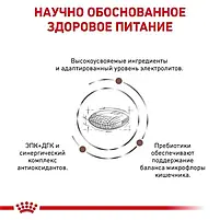 Сухий корм Royal Canin Hepatic Dog Cans для дорослих собак підтримка функції печінки 1.5 кг, фото 3