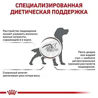 Сухий корм Royal Canin Gastrointestinal Dog для собак при порушеннях травлення 2 кг, фото 4