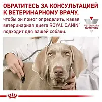 Сухий корм Royal Canin Gastrointestinal Dog для собак при порушеннях травлення 2 кг, фото 7