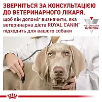 Сухий корм для дорослих собак Royal Canin Satiety Weight Management Canine для собак для контролю ваги 12 кг, фото 3