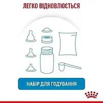Замінник молока для цуценят від народження Royal Canin Babydog Milk 2 кг, фото 3