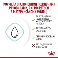 Замінник молока для цуценят від народження Royal Canin Babydog Milk 2 кг, фото 4