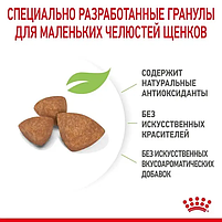 Сухий корм для цуценят Royal Canin Xsmall Puppy для дрібних порід 3 кг, фото 5