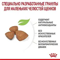 Сухий корм для цуценят Royal Canin Xsmall Puppy для дрібних порід 3 кг, фото 6