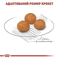 Сухий корм Royal Canin Xsmall Adult +8 для собак мініатюрних порід віком від 8 до 12 років 3 кг, фото 5