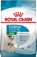 Сухой корм Royal Canin Mini Starter для беременных собак мелких пород и щенков до 2 месяцев 1 кг