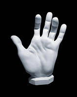 Гипсовая фигура Кисть руки Анатомическая модель 39,5 х 32 х 13 см