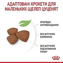 Сухий корм для цуценят Royal Canin Mini puppy 2 кг, фото 4