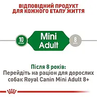 Сухий корм для собак Royal Canin Mini Adult дрібних порід старше 10 місяців 2 кг, фото 4