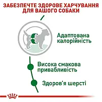 Сухий корм для собак Royal Canin Mini Adult дрібних порід старше 10 місяців 2 кг, фото 5