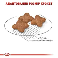 Сухий корм для собак Royal Canin Mini Adult дрібних порід старше 10 місяців 2 кг, фото 6