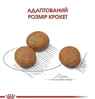 Сухий корм для цуценят великих порід Royal Canin Maxi Puppy до 15 місяців 4 кг, фото 3