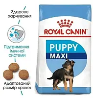 Сухий корм для цуценят великих порід Royal Canin Maxi Puppy до 15 місяців 4 кг, фото 4