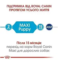 Сухий корм для цуценят великих порід Royal Canin Maxi Puppy до 15 місяців 4 кг, фото 6