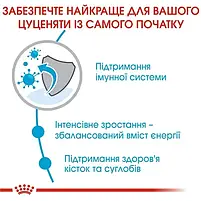 Сухий корм для цуценят гігантських порід Royal Canin Giant Puppy 15 кг, фото 5