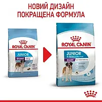 Сухий корм Royal Canin Giant Junior для цуценят гігантських порід старше 8 місяців 15 кг, фото 2