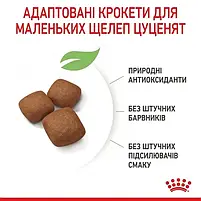 Сухий корм Royal Canin Giant Junior для цуценят гігантських порід старше 8 місяців 15 кг, фото 4