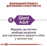 Сухий корм Royal Canin Giant Adult для дорослих собак гігантських порід 15 кг, фото 5