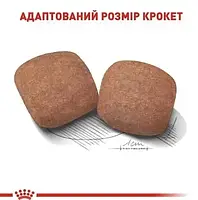 Сухий корм Royal Canin Giant Adult для дорослих собак гігантських порід 15 кг, фото 6
