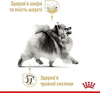 Сухий корм Royal Canin Pomeranian Adult для собак породи померанський шпіц 1.5 кг, фото 7