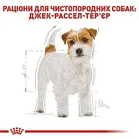 Сухий корм Royal Canin Jack Russell Adult для дорослих собак породи джек-рассел-тер'єр 1.5 кг, фото 4