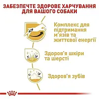 Сухий корм Royal Canin Jack Russell Adult для дорослих собак породи джек-рассел-тер'єр 1.5 кг, фото 5